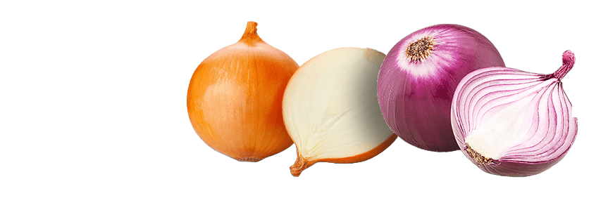 Red-white-Onion-Trans-V.png