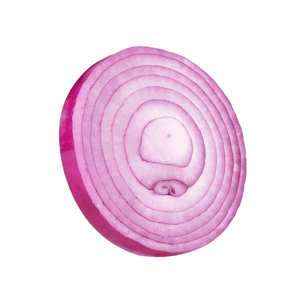 Single-Onion-Ring.png