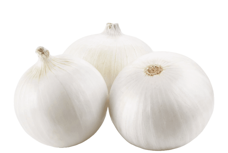 wHITE-oNION-tRANS.png