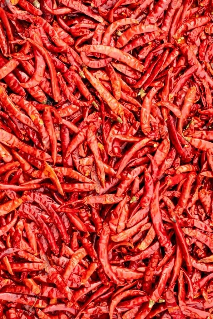 Red_Dry_Chilli-Trans.png
