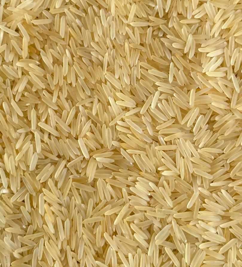 1121-Basmati-Golden-Sella.jpg