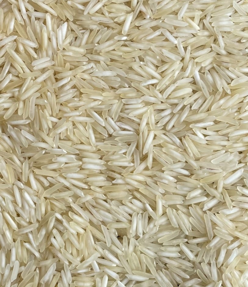 1121-Basmati-Steam.jpeg