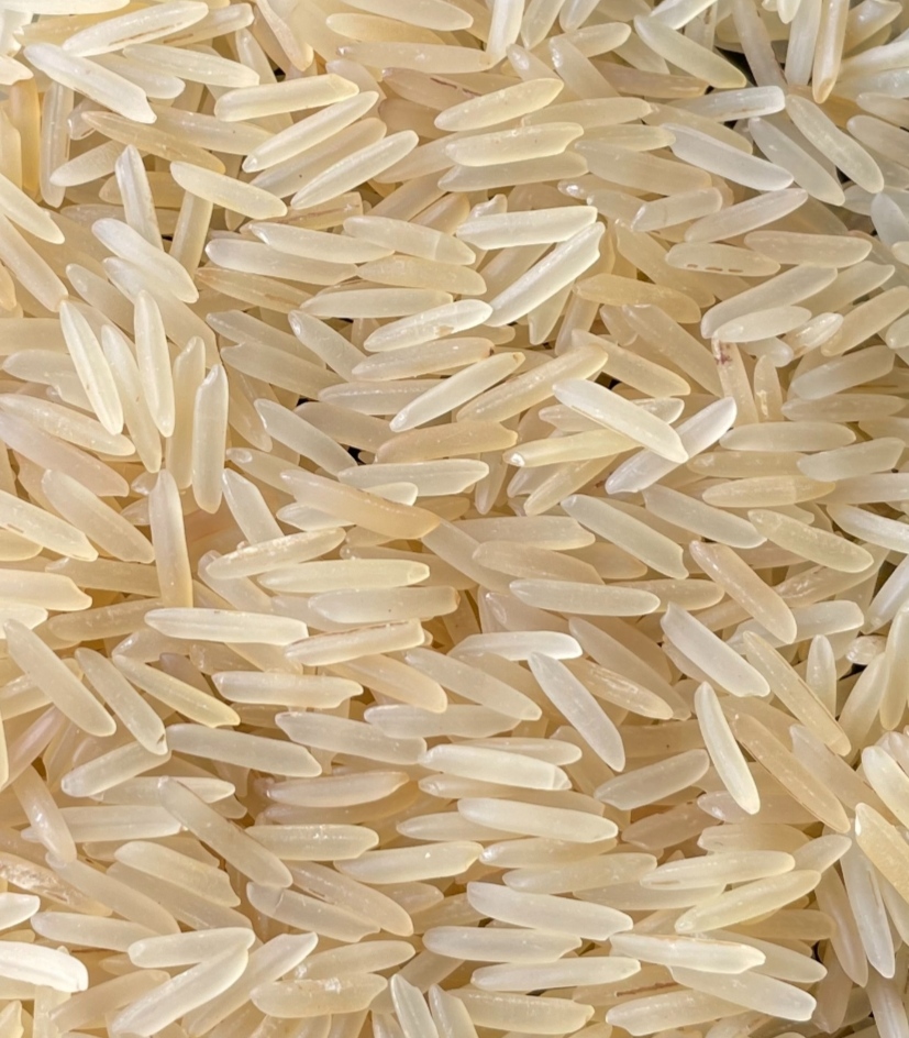 1509-Basmati-Golden-Sella-.jpg