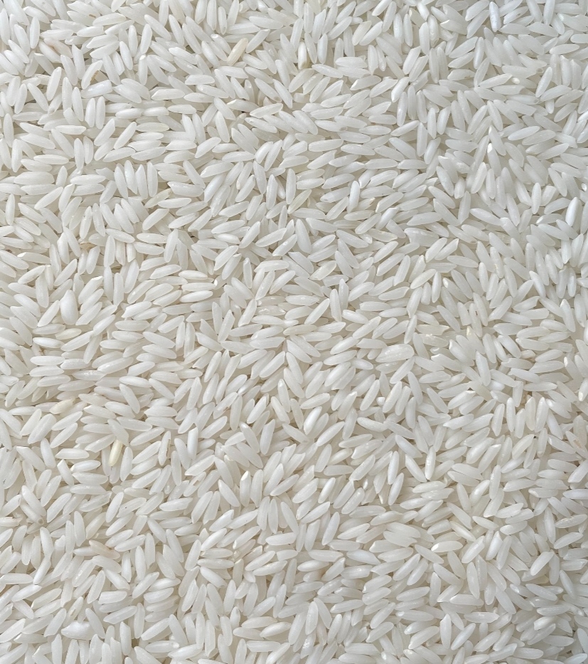Kolam-Raw-New.jpg